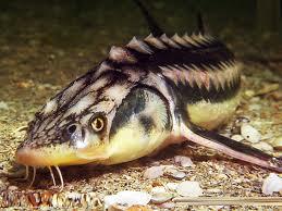 Diverse - images.jpg